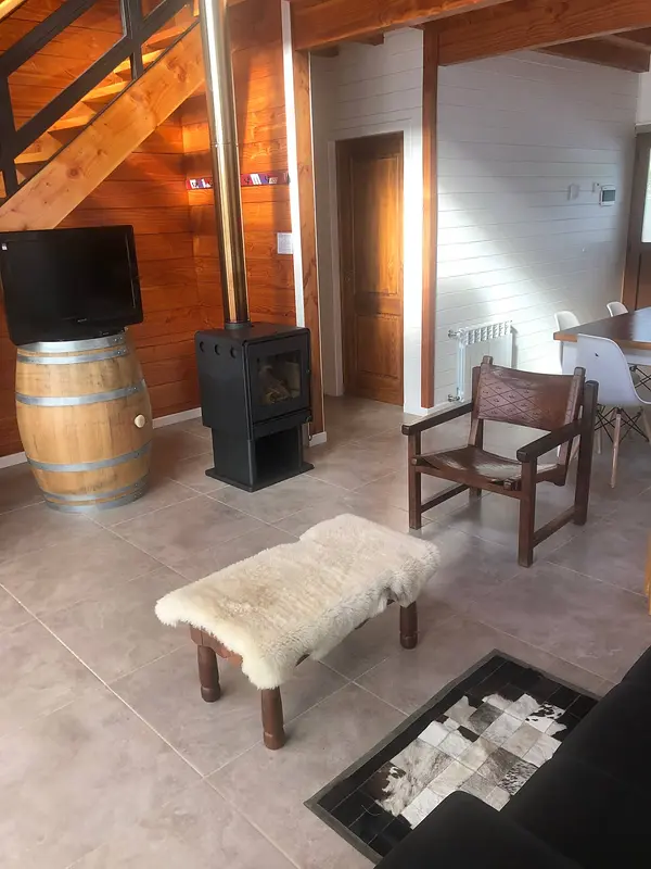 Wood-burning stove