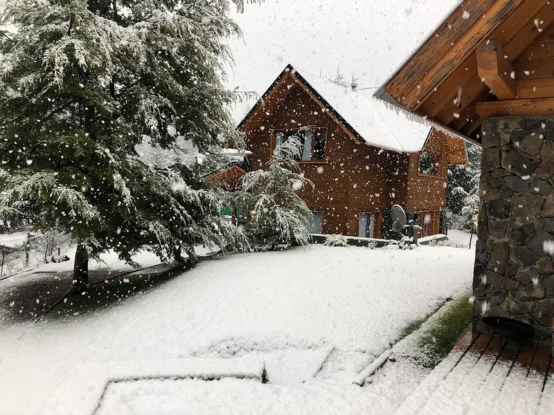 Snow-covered tree next to the cabins